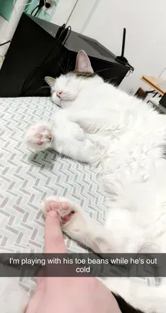 @bootoebeans OnlyFans profile photo