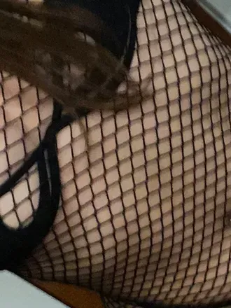 Carmen (@carmensandiego) OnlyFans profile photo