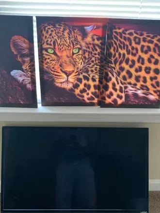 @cheetahprintking OnlyFans profile photo
