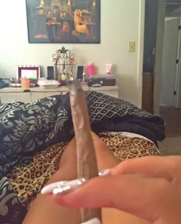 Weed head (@funbbystoner) OnlyFans profile photo