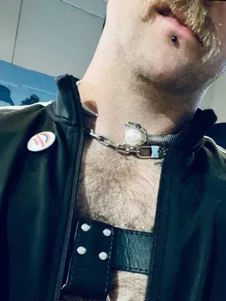 D. morningstar (@heydevildevil) OnlyFans profile photo