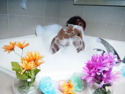 @honeybrowncoco OnlyFans profile photo