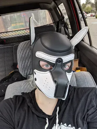 KikoHusky (@kikohuskyad) OnlyFans profile photo