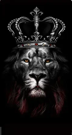 @king_mansa_musa OnlyFans profile photo