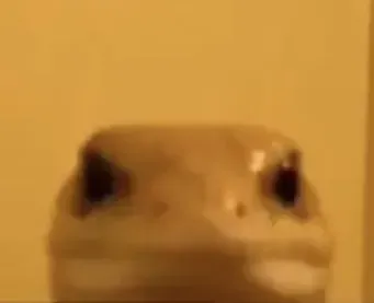 Geico (@lilgeck) OnlyFans profile photo