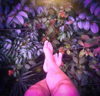 @loveandtoes OnlyFans profile photo