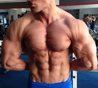 @musclebeach OnlyFans profile photo