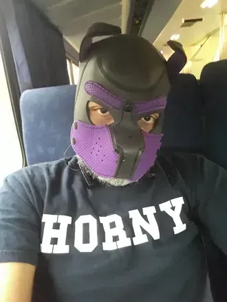 Omega Pup Phoenix (@phoenix_pup) OnlyFans profile photo