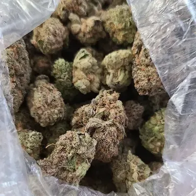 Crunchtyme Ent. (@puffercannabisclub) OnlyFans profile photo