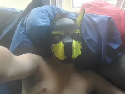@pup-squishy OnlyFans profile photo