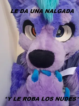 Purpy DA Husky (@purpydahusky) OnlyFans profile photo