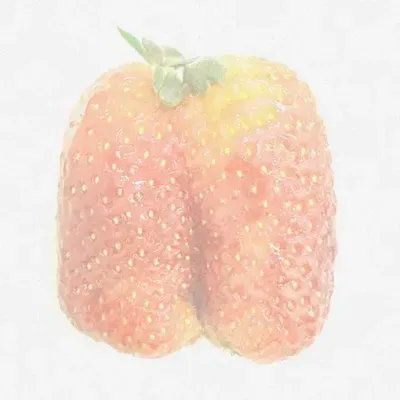 Sssvckerpvnch (she they) (@sssvckerpvnch) OnlyFans profile photo