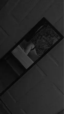 @sydneyrose444 OnlyFans profile photo