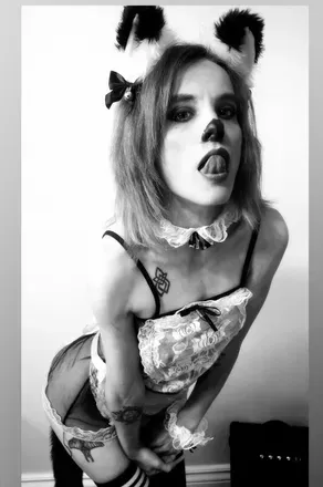 The Timid Raven (@thetimidraven) OnlyFans profile photo