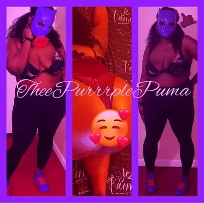 TheePurrrplePuma (@u230177827) OnlyFans profile photo